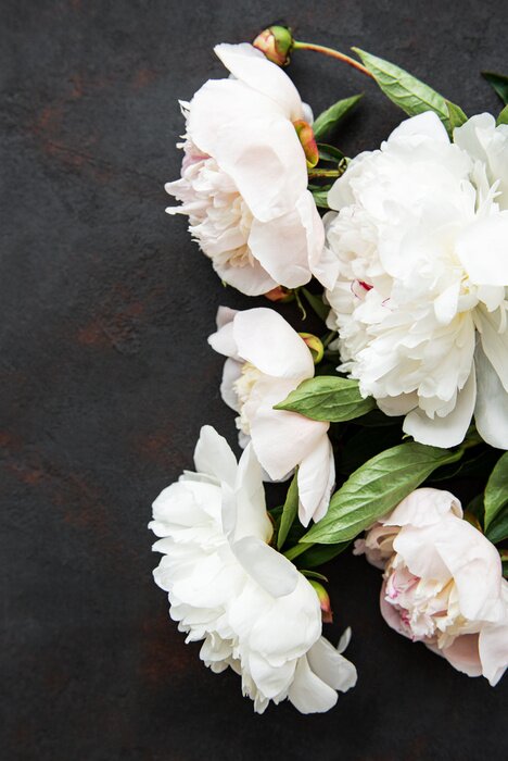 Poster Witte pioenrozen gerangschikt op een donkere steen