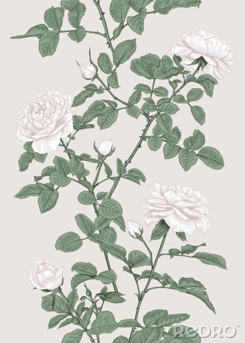 Poster Witte rozen verbonden door takjes