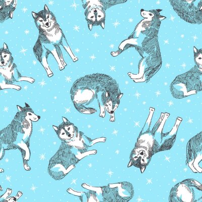 Witte wolven op een blauwe achtergrond