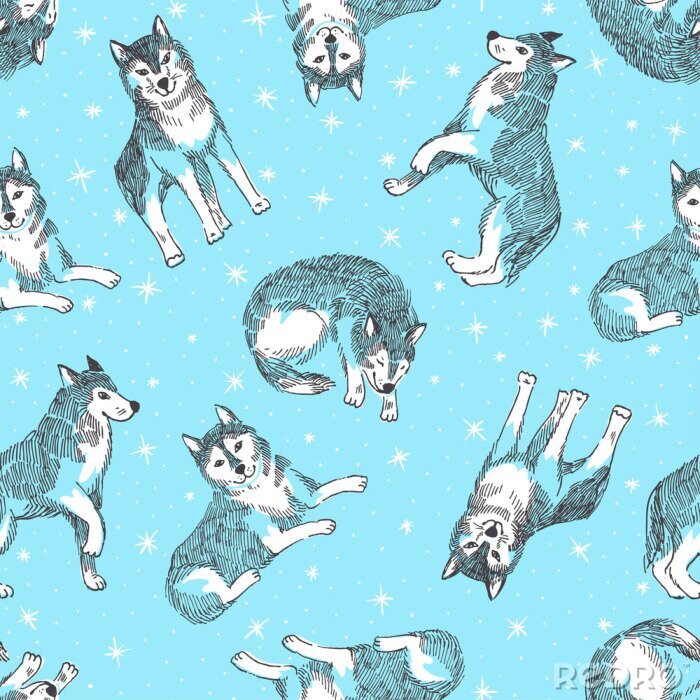 Poster Witte wolven op een blauwe achtergrond