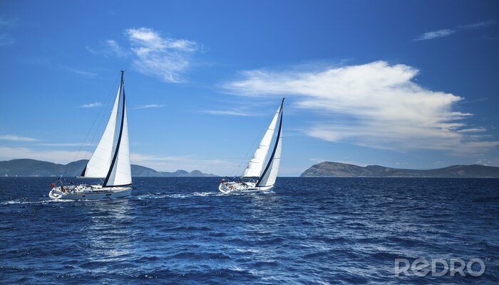 Poster Witte zeilboten in de baai