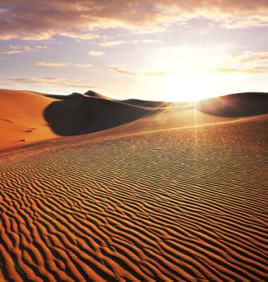 Poster Woestijn landschap
