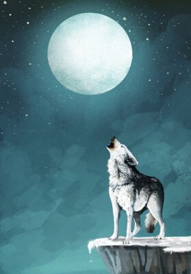 Poster Wolf op een achtergrond van de nachtelijke hemel