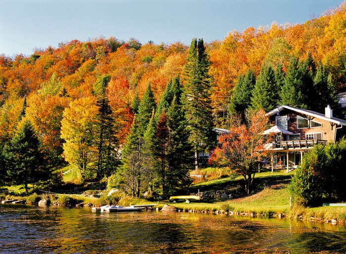 Poster メ ー プ ル 街道 の 秋