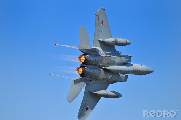 Poster F15 戦 闘 機