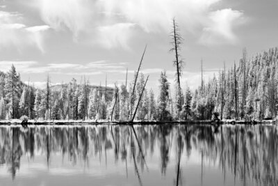 Yellowstone National Park schot in inheemse infrarood