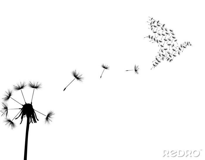 Poster Zaden van paardenbloem in de vorm van een vogel