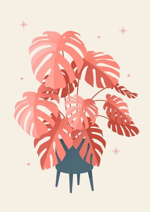 Poster Zalm monstera bladeren in een moderne pot