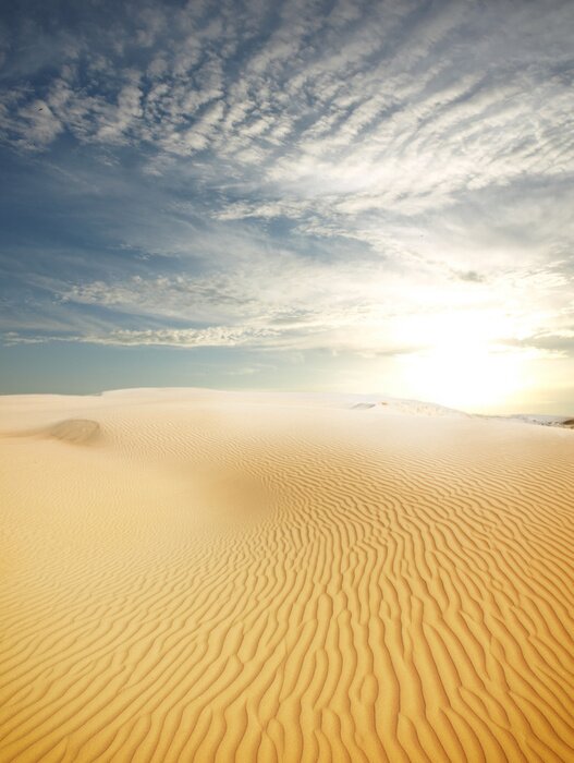 Poster zandwoestijnlandschap