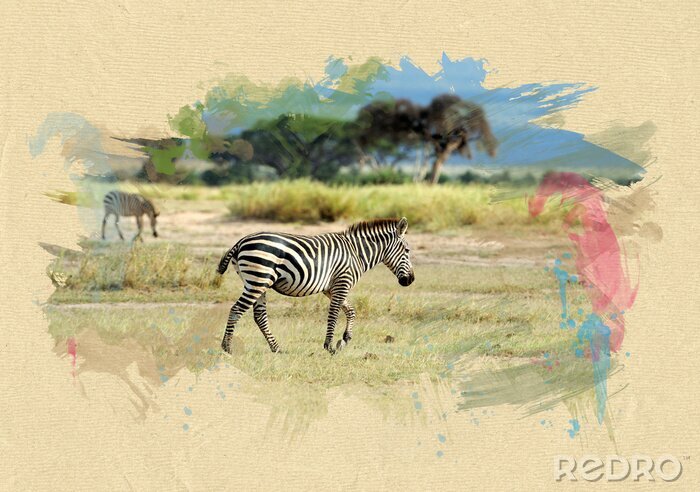 Poster Zebra op geweven papier. Borstel effect