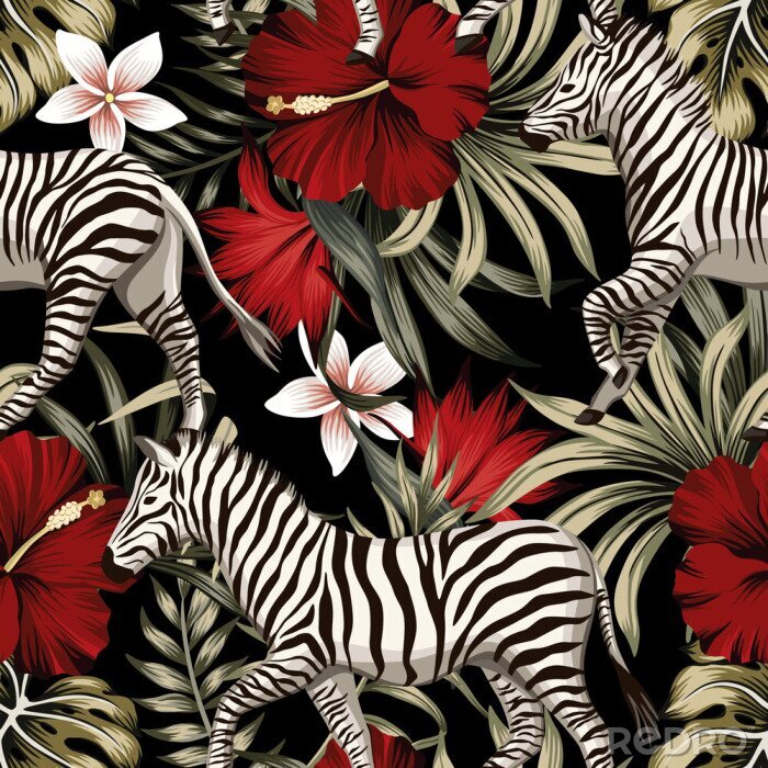 Poster Zebra's en rode hibiscusbloemen