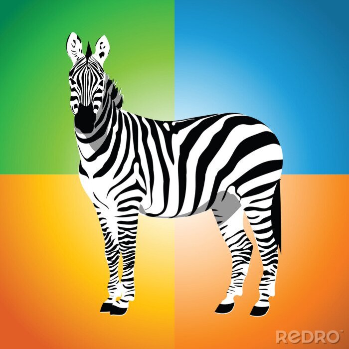 Poster Zebra.Vector illustratie.