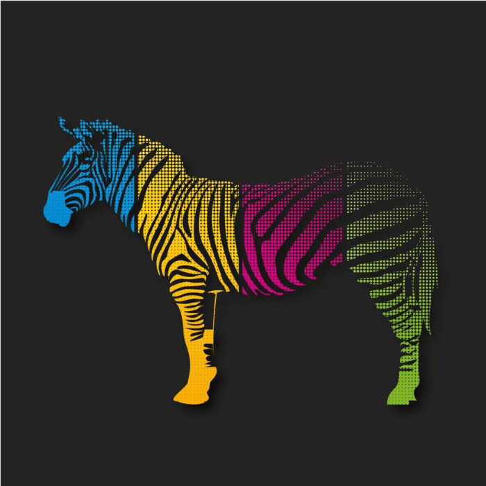 Poster Zèbre coloré
