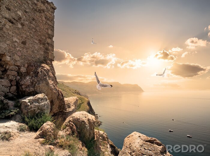 Poster Zee, architectuur en vogels