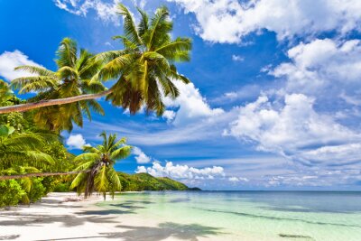 Zee en palmbomen op de Seychellen