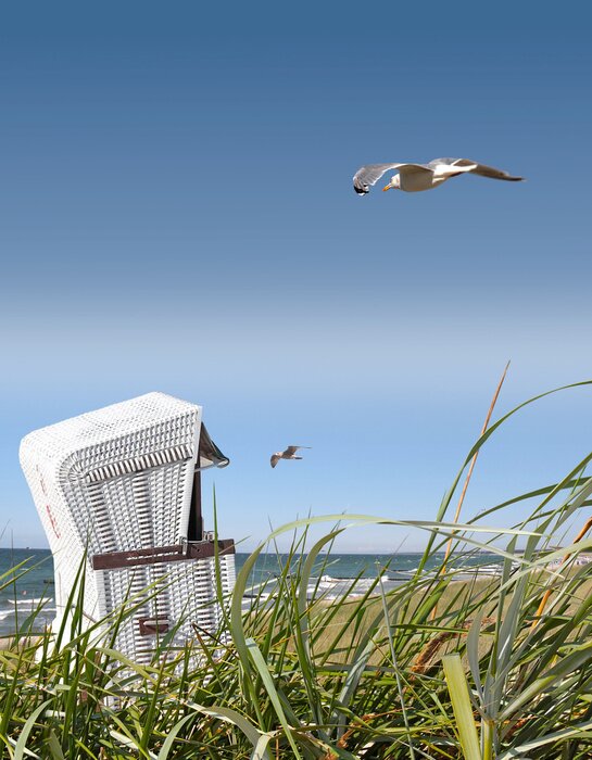 Poster Zee natuur en vliegende zeemeeuw