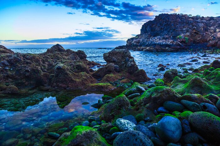 Poster Zeegezichten en rotsachtige kust