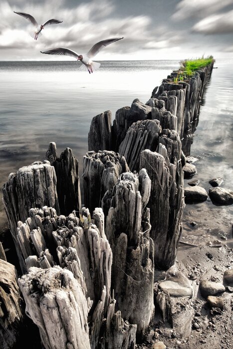 Poster Zeelandschap met een houten golfbreker