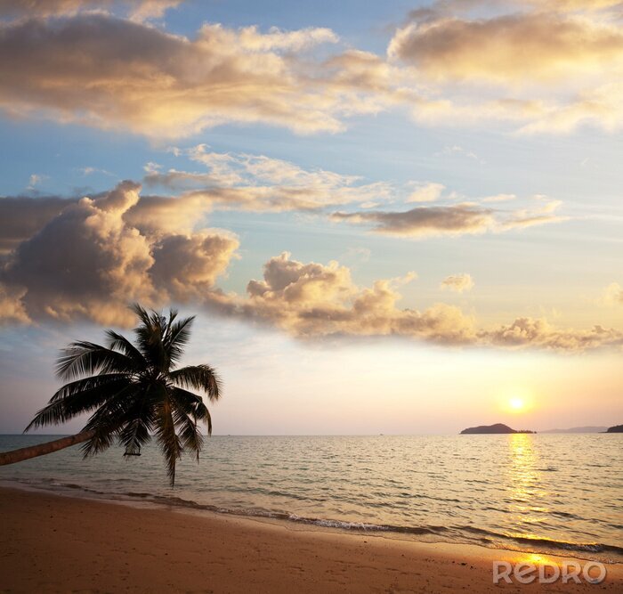 Poster Zeelandschap met een tropisch uitzicht