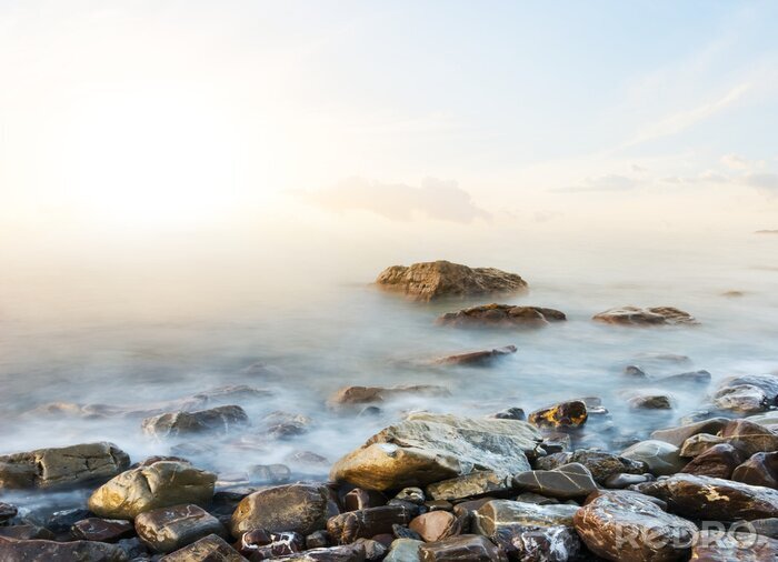 Poster Zeestenen in mist