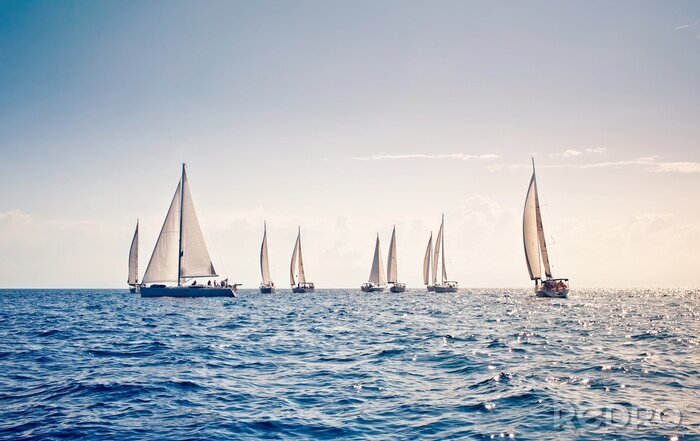 Poster Zeilboten op een kalme zee