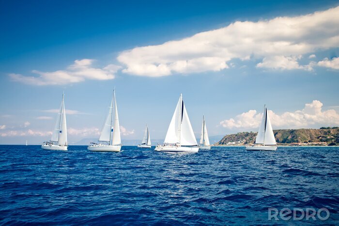 Poster Zeilschip jachten met witte zeilen