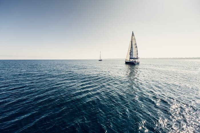 Poster Zeilschip jachten met witte zeilen