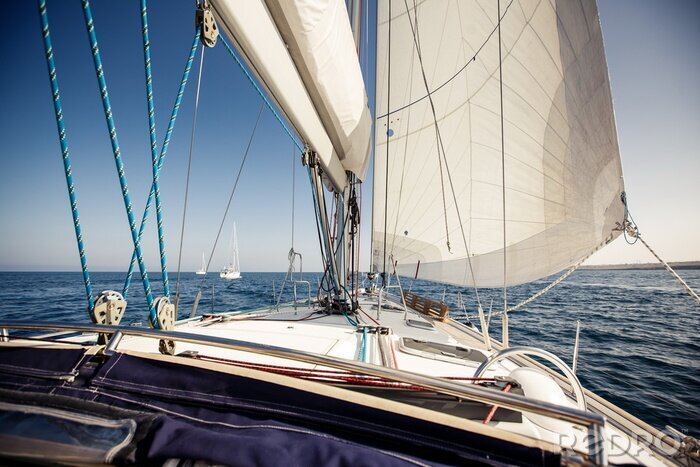 Poster Zeilschip jachten met witte zeilen