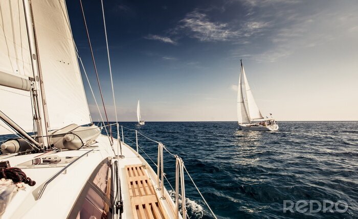Poster Zeilschip jachten met witte zeilen
