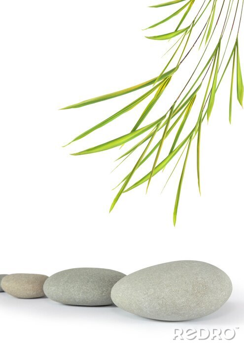Poster Zen-stenen en een takje delicaat gras