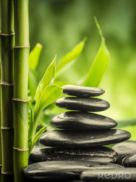 Poster Zen-stenen omgeven door bamboescheuten