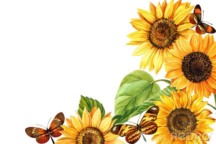 Poster Zonnebloemen met vlinders