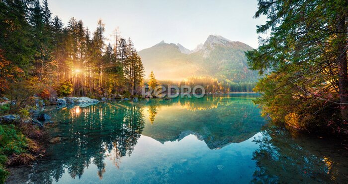 Poster Zonnestralen in de bergen schijnen door de bomen