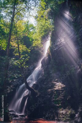 Poster Zonnestralen vallen op een waterval in het bos.