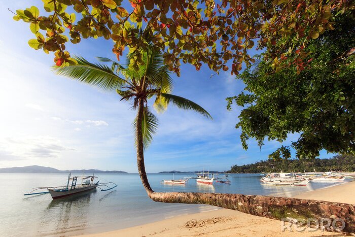 Poster Zonnig landschap met strand