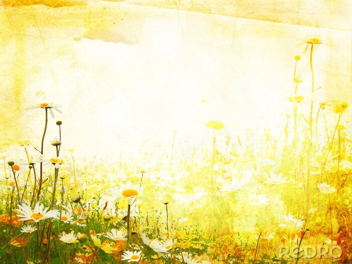 Poster Zonnige natuur