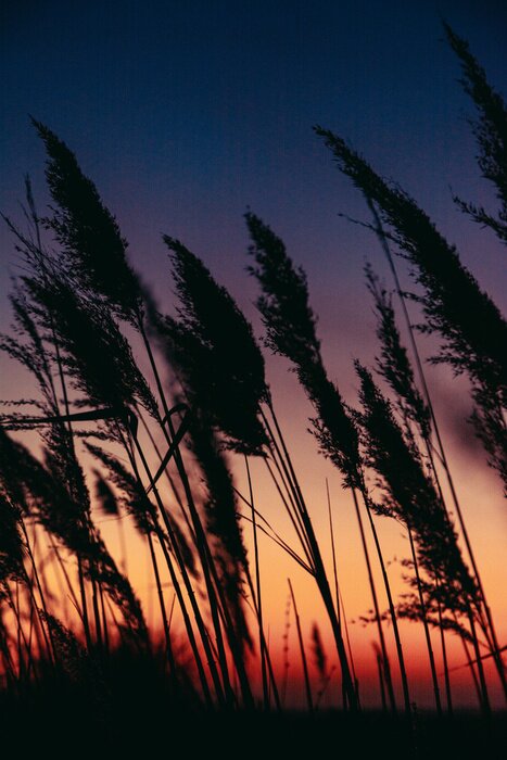 Poster Zonsondergang aan het meer