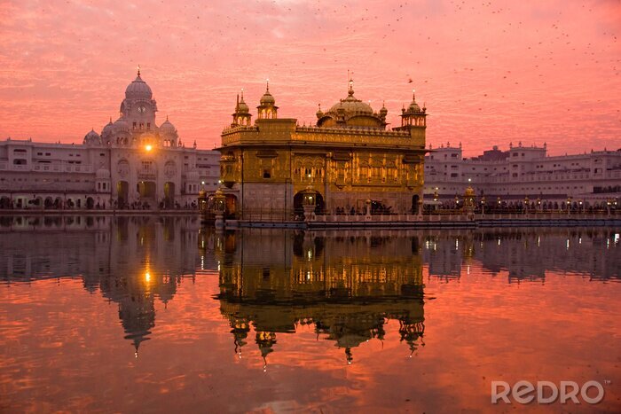Poster Zonsondergang bij Gouden Tempel, Amritsar, India.