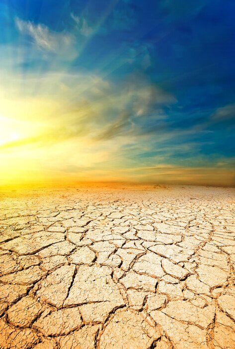 Poster Zonsondergang in de woestijn