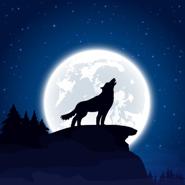 Poster Zwart silhouet van een wolf op de achtergrond van de maan
