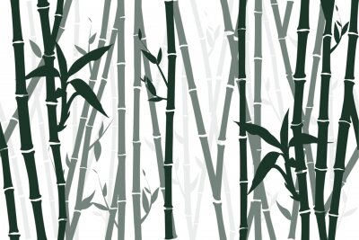 Poster Zwart-wit achtergrond met bamboe