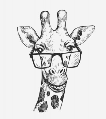 Zwart-wit girafhoofd met bril