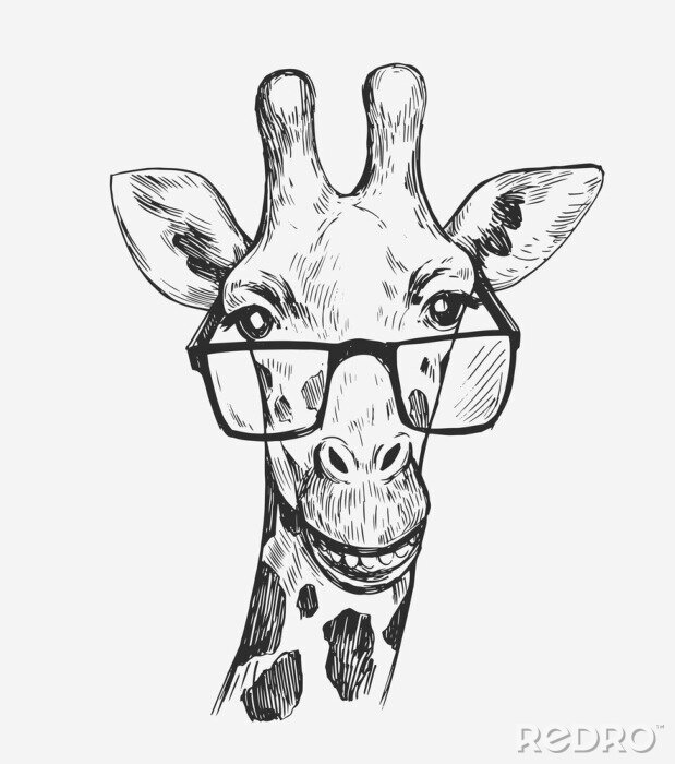Poster Zwart-wit girafhoofd met bril