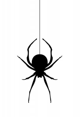 Poster Zwart-wit schets van een spin