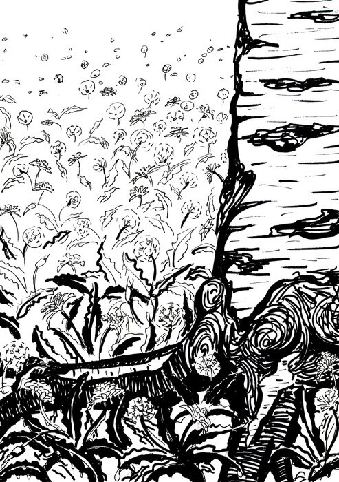 Poster Zwart-wit tekening van berken