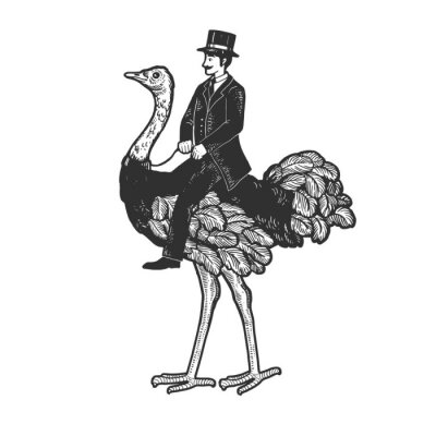 Zwart-wit tekening van een heer op een struisvogel