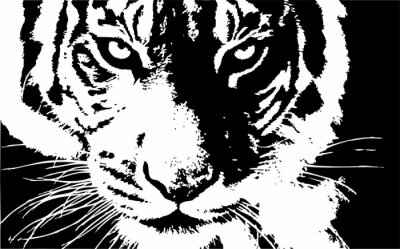 Zwart-wit tekening van het hoofd van een tijger