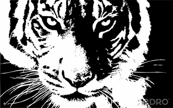 Poster Zwart-wit tekening van het hoofd van een tijger