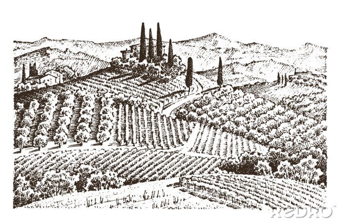 Poster Zwart-wit tekening van Toscane