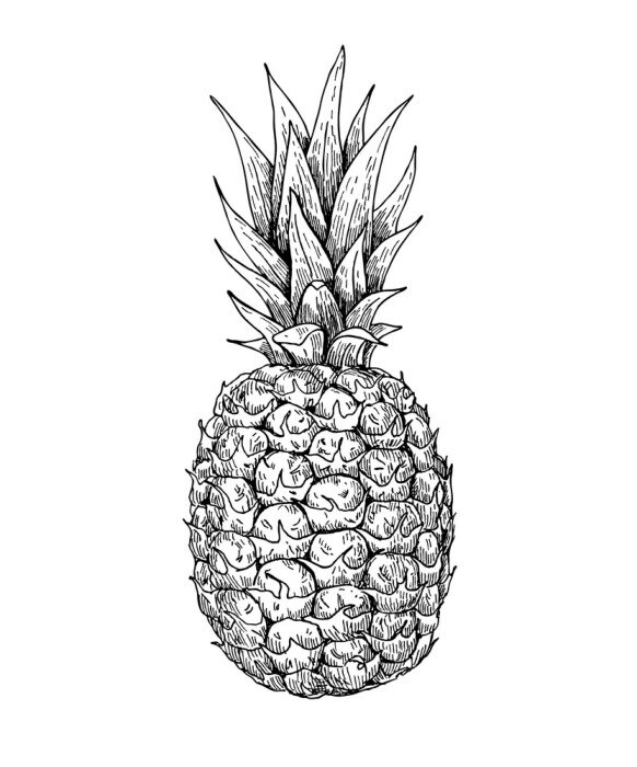 Poster Zwart-witte ananas